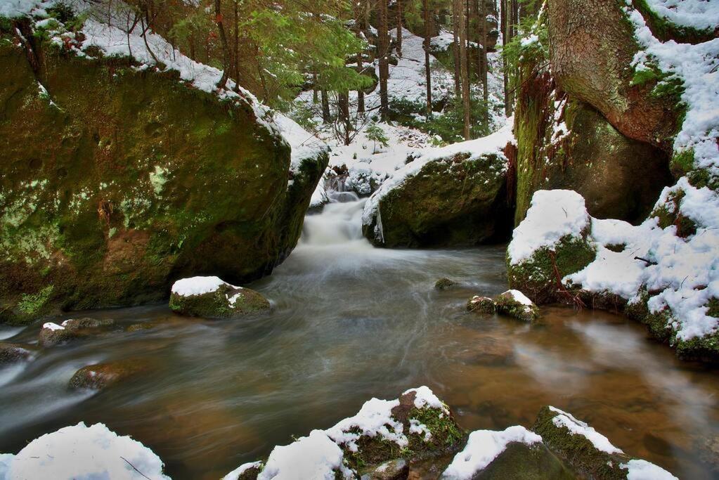 דירה Tour Bohemian Switzerland Horni Podluzi